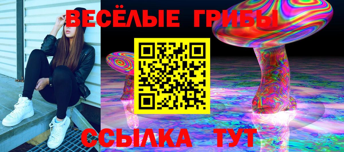 Псилоцибиновые грибы Magic Shrooms Великие Луки