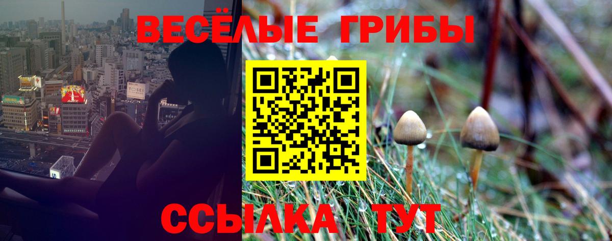 Великие Луки  Псилоцибиновые грибы Psilocybine cubensis  Вход с VPN  Псилоцибиновые грибы MAGIC MUSHROOMS 